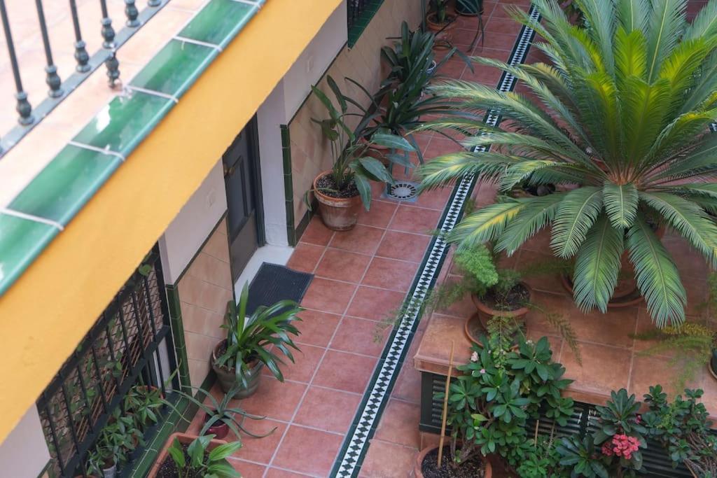 Apartamento Junto A Las Setas De Sevilla Dış mekan fotoğraf